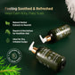 RoyceDerm Tea Tree Conditioner