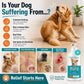 ProElobara Medicated Dog Shampoo for Allergies and Itching