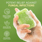 Roycederm Tea tree Oil Soap