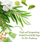 Roycederm Refreshing Tea Tree Body Wash