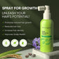 Svvimer Hair Growth Spray