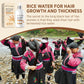 Svvimer Rice Water Hair Growth Shampoo